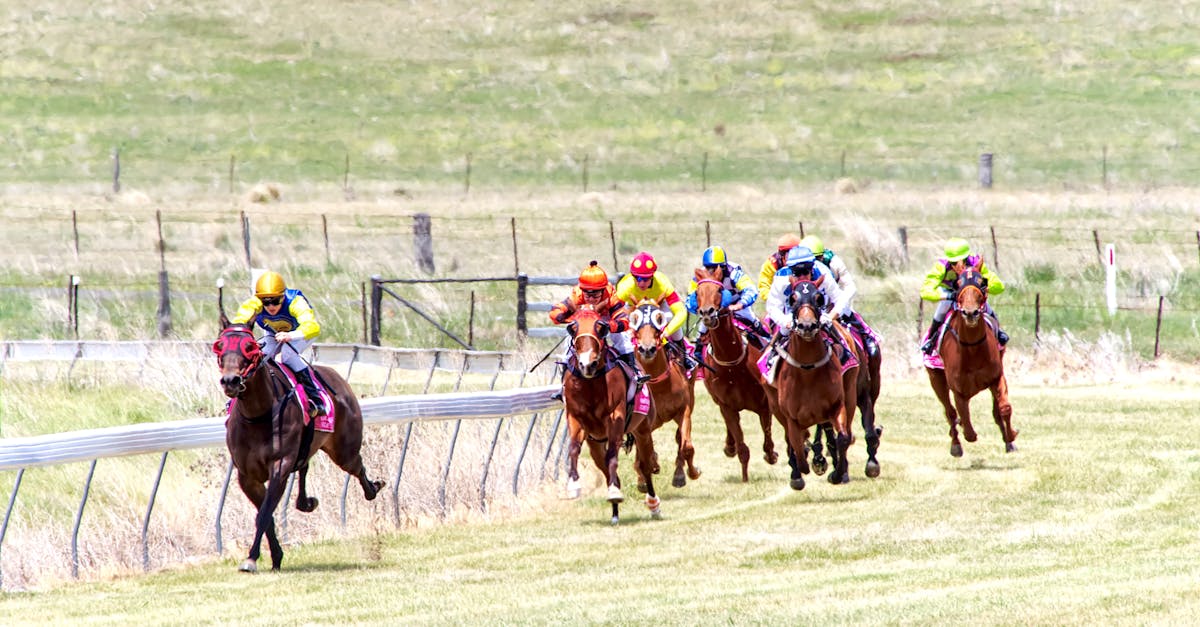 découvrez les meilleures stratégies de course pour améliorer vos performances, optimiser vos prises de décision en temps réel et gagner un avantage compétitif dans toutes vos compétitions automobiles.