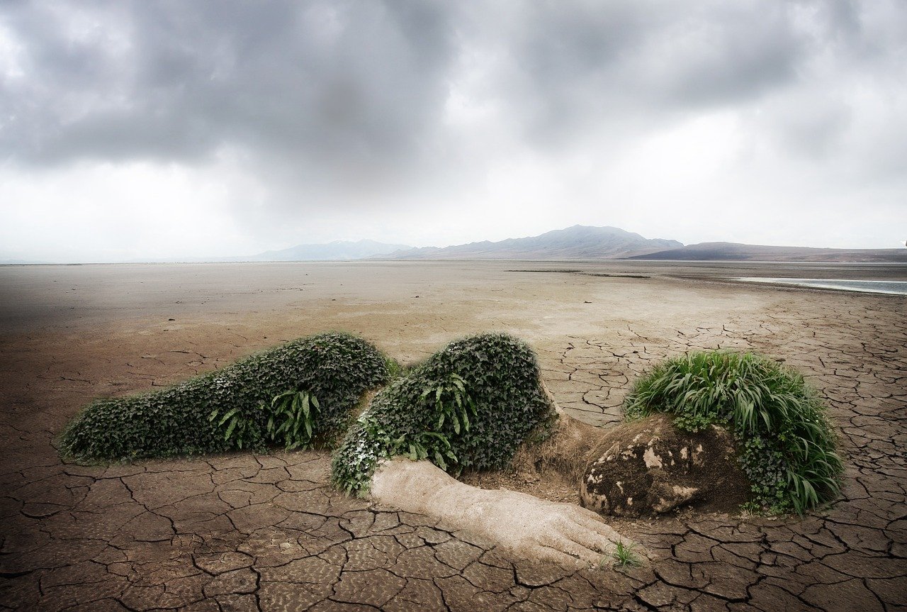 découvrez l'impact environnemental à travers l'analyse des enjeux écologiques, économiques et sociaux. explorez les solutions durables pour minimiser les effets néfastes sur notre planète et promouvoir un avenir respectueux de l'environnement.