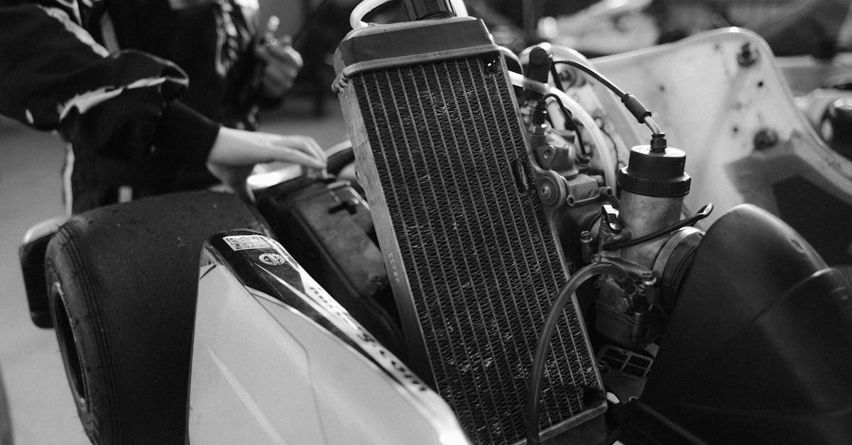 découvrez l'excitation du karting, une activité palpitante qui combine vitesse et stratégie. parfait pour les amateurs de sensations fortes, le karting offre des courses passionnantes sur des circuits adaptés à tous les niveaux. que ce soit pour un loisir entre amis ou un événement spécial, vivez une expérience inoubliable sur la piste!
