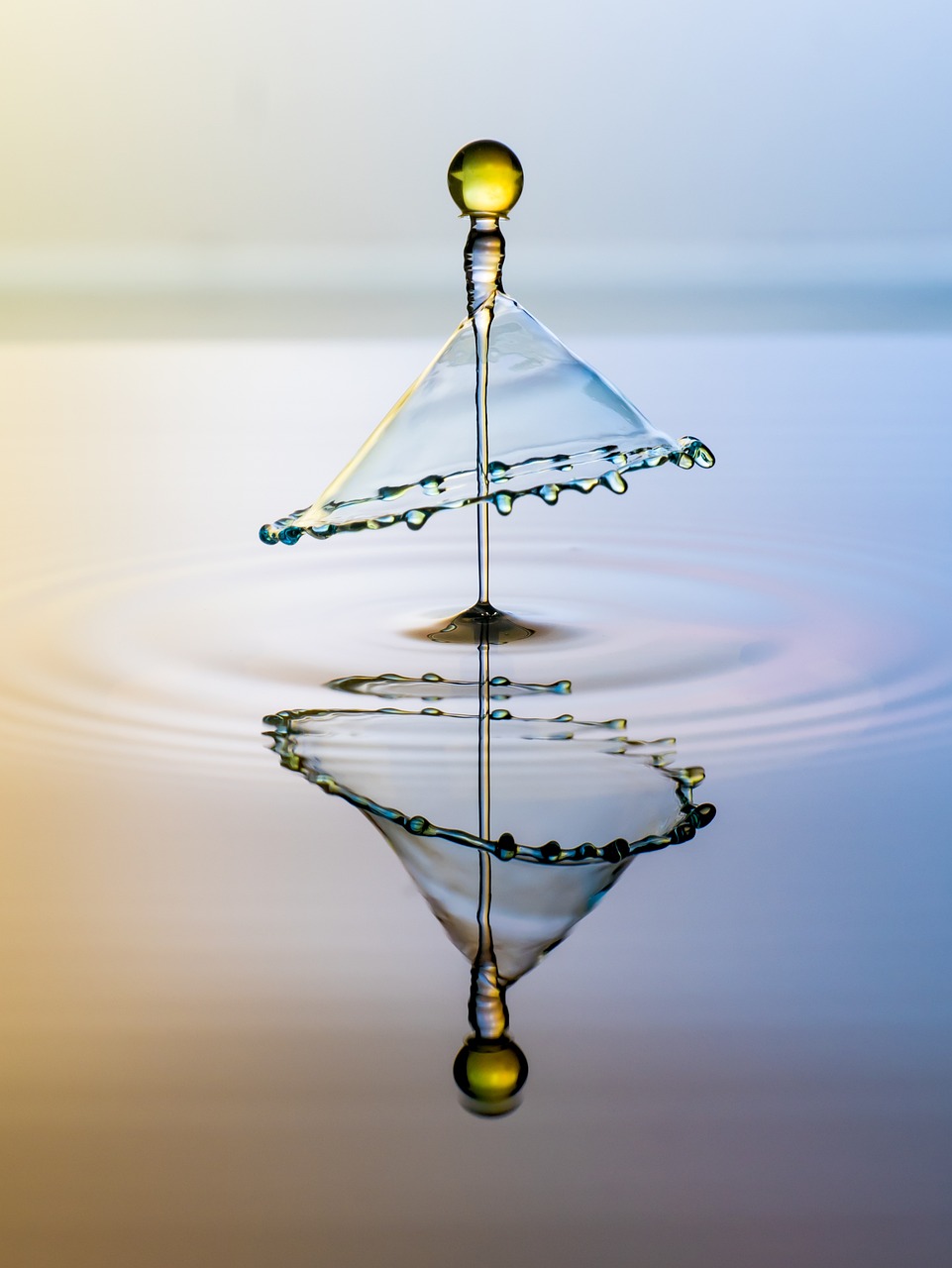 explorez l'impact environnemental des activités humaines et découvrez les enjeux écologiques cruciaux. analysez les effets sur notre planète, des changements climatiques aux pertes de biodiversité, et apprenez comment chacun peut contribuer à un avenir plus durable.