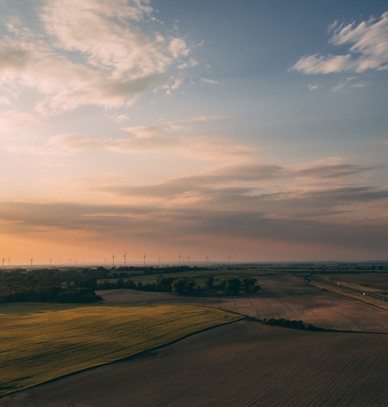 découvrez l'importance de la durabilité et comment adopter des pratiques écoresponsables pour préserver notre planète. explorez des solutions innovantes et des conseils pratiques pour un avenir durable.